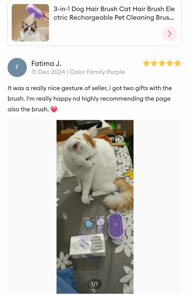 3-in-1 Steam Spray Pet Brush Rechargeable Review 1