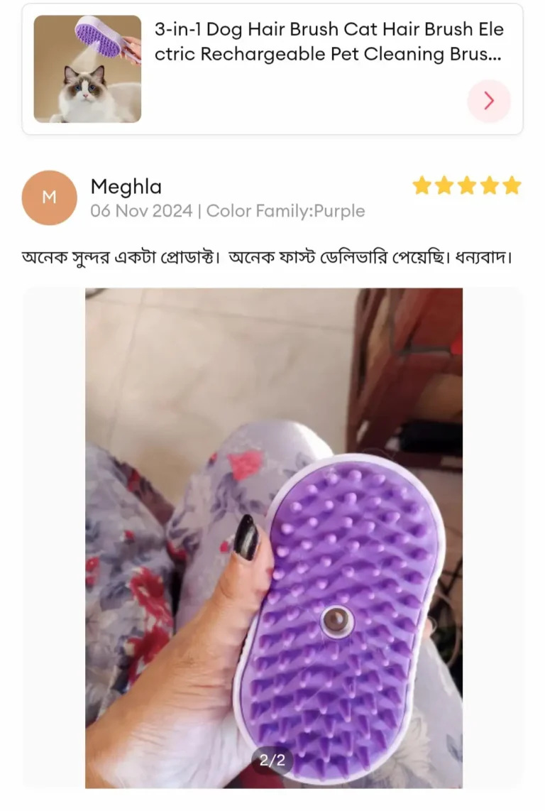 3-in-1 Steam Spray Pet Brush Rechargeable Review 4